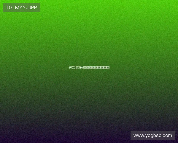 2020年CBA辽宁队与青岛队精彩对决回顾及赛季分析